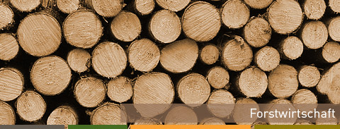 Forstwirtschaft