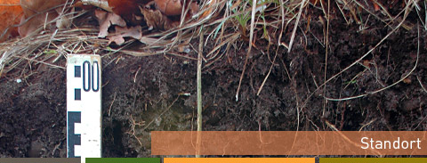 Boden- und Standortkartierung