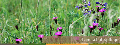 Landschaftspflege
